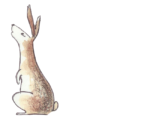picture book illustration of curious rabbit